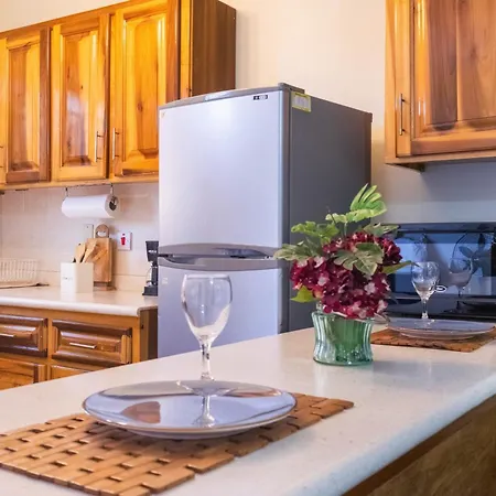 Musgrave Annex- Comfy 1 Bedroom Apartment On The Ground Floor Kingston Exterior photo