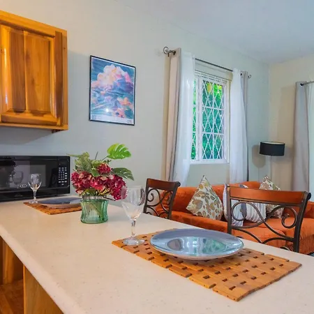 Musgrave Annex- Comfy 1 Bedroom Apartment On The Ground Floor Kingston Exterior photo